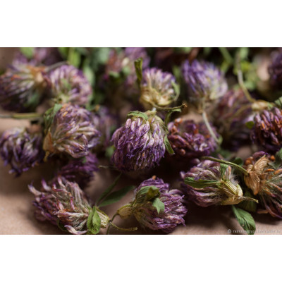 Клевер цветки 100 гр